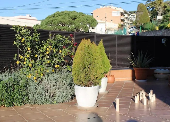 Desing House Panorama *